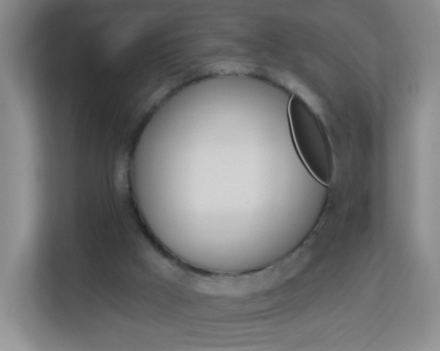 X0000113880009200909241036
