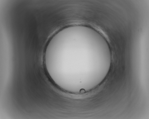 X0000113880010200909241036