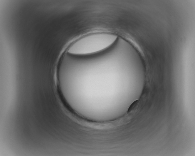 X0000113880011200909241036
