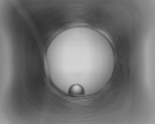 X0000113880013200909241036