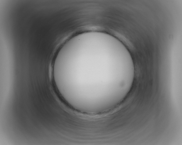 X0000113880014200909241036