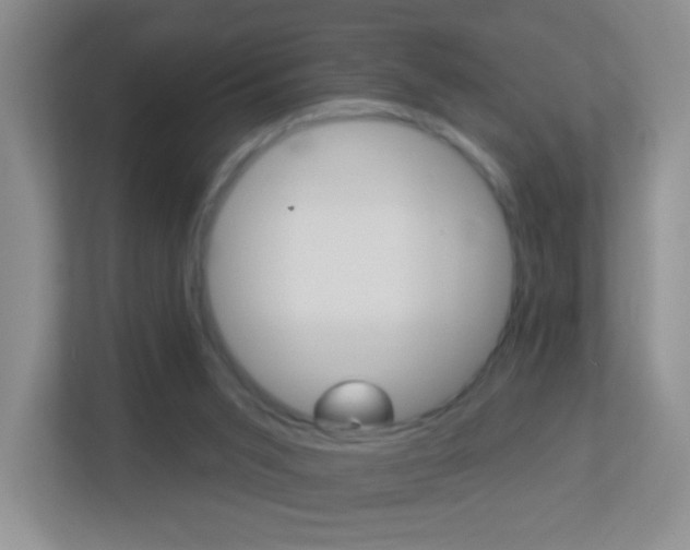 X0000113880015200909241036