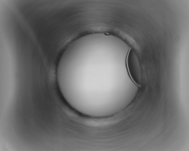 X0000113880017200909241036