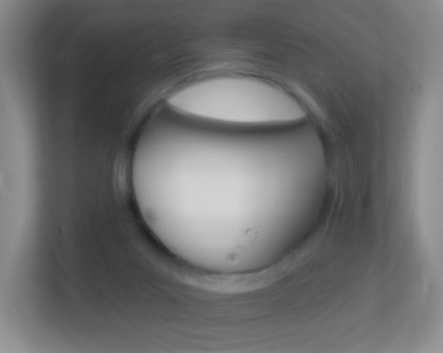X0000113880023200909241036