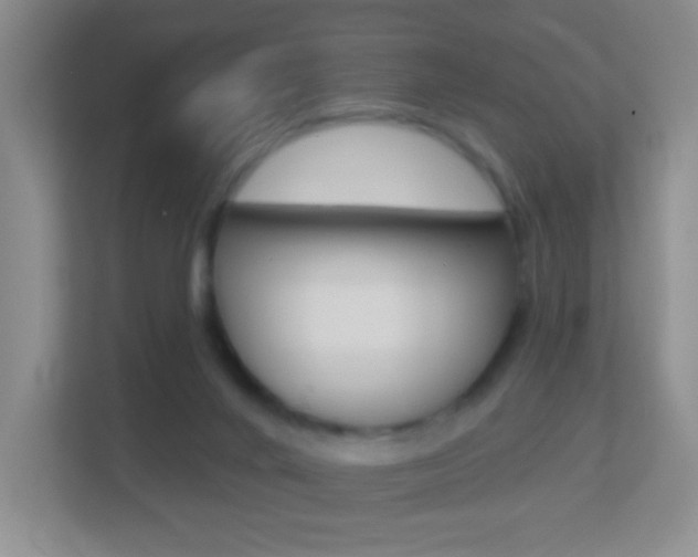 X0000113880024200909241036