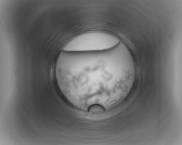 X0000113880026200909241035