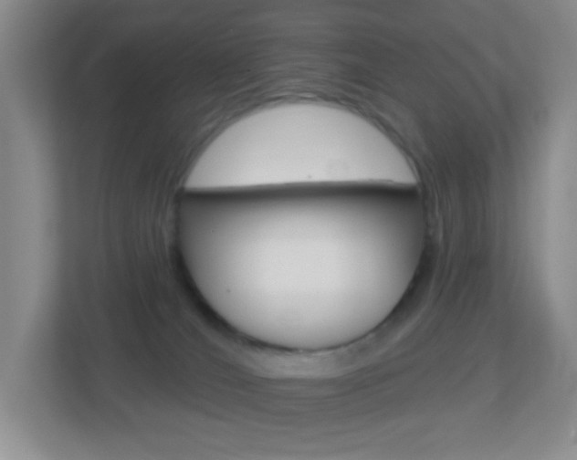 X0000113880036200909241035