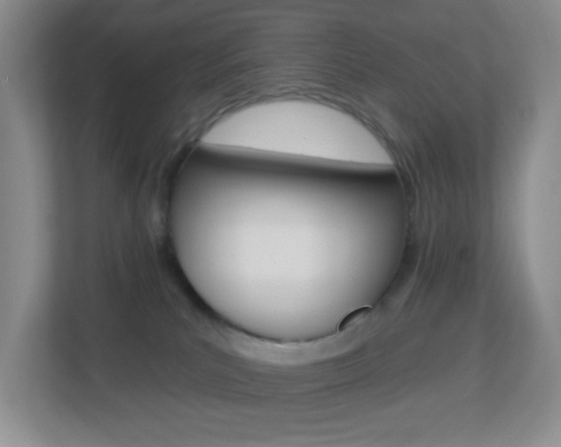 X0000113880039200909241035