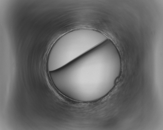 X0000113880049200909241035