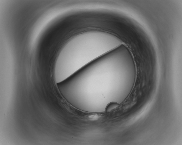 X0000113880050200909241035