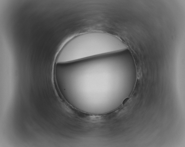 X0000113880052200909241035