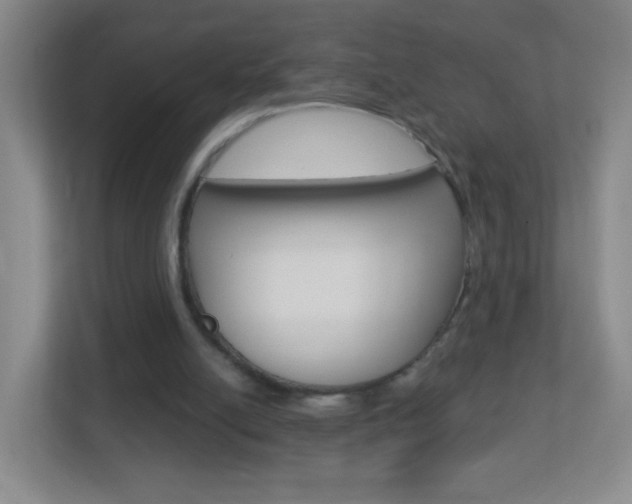 X0000113880054200909241035