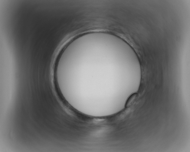 X0000113880055200909241035
