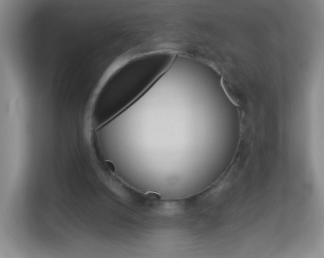 X0000113880056200909241035