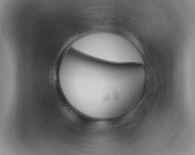 X0000113880059200909241035