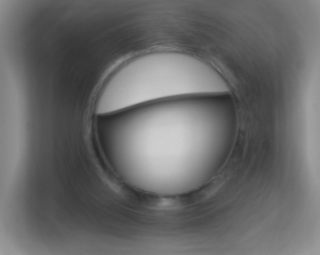 X0000113880060200909241035