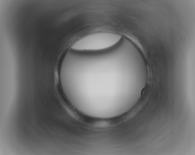 X0000113880061200909241035