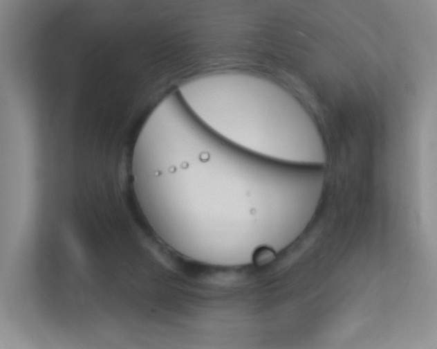X0000113880065200909241035