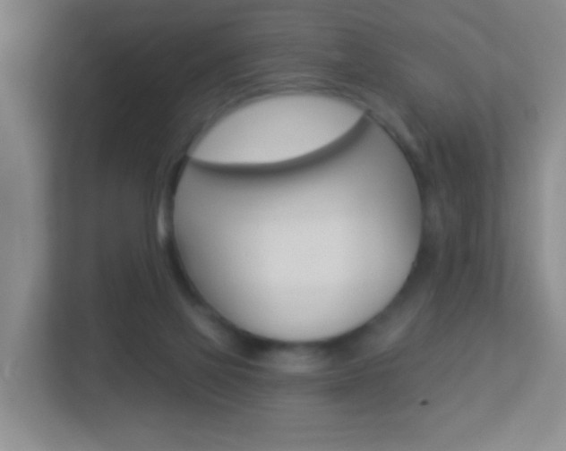 X0000113880069200909241035