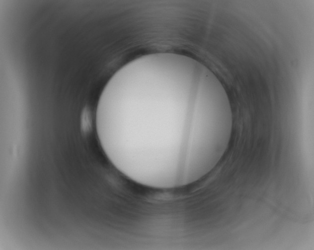X0000113880075200909241035