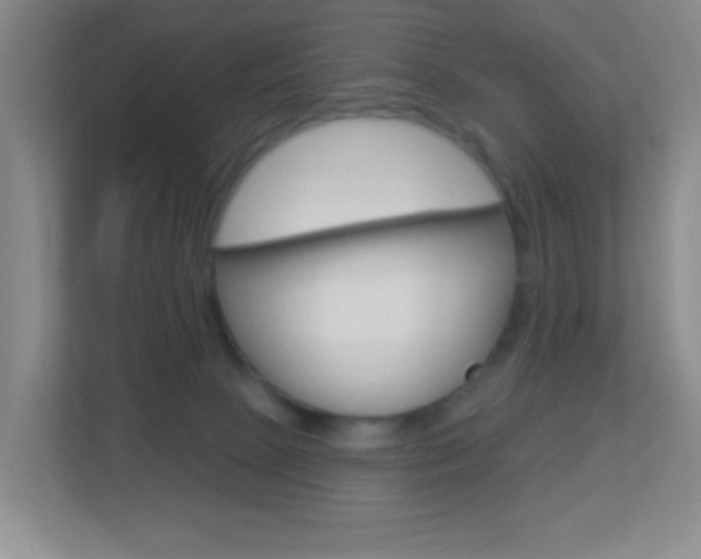 X0000113880081200909241035