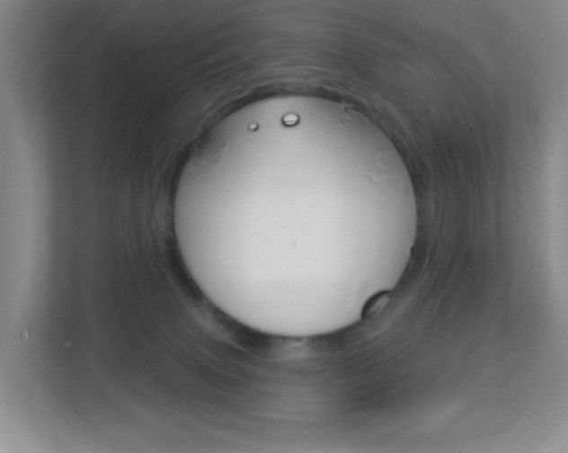 X0000113880083200909241035