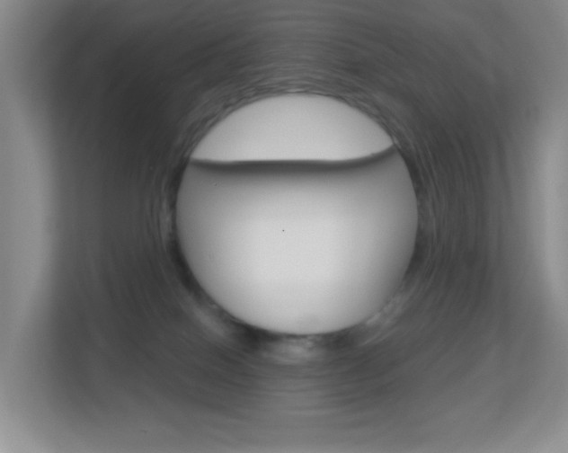 X0000113880086200909241035