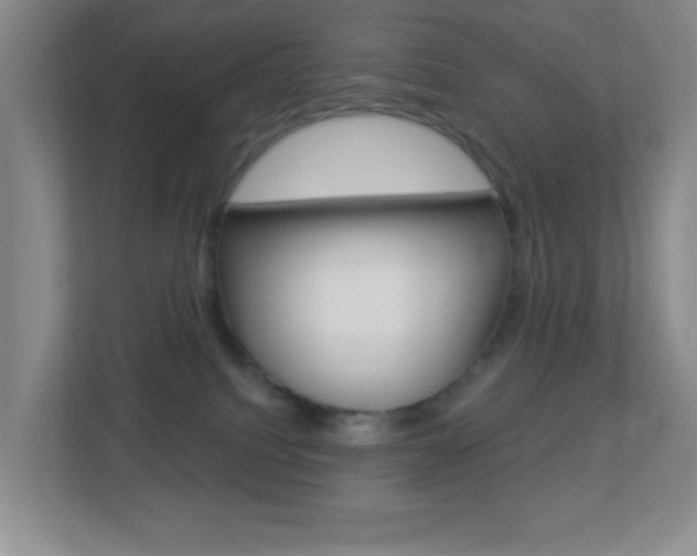 X0000113880088200909241035