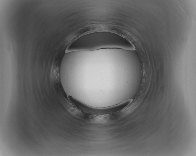 X0000113880096200909241035