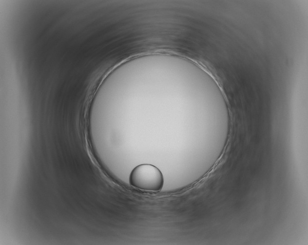 X0000113880097200909241035