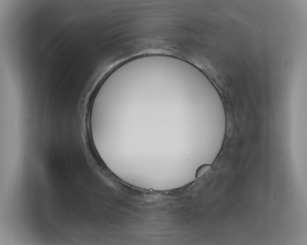 X0000113880098200909241035