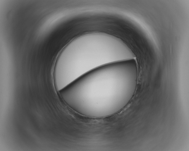X0000113880099200909241035