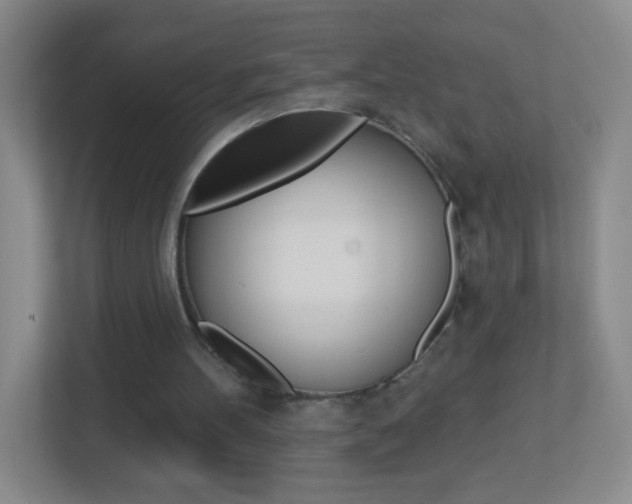 X0000113880100200909241035