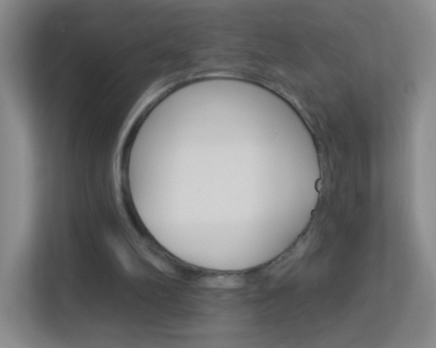 X0000113880102200909241035