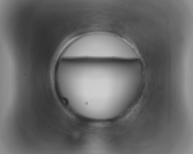 X0000113880103200909241034