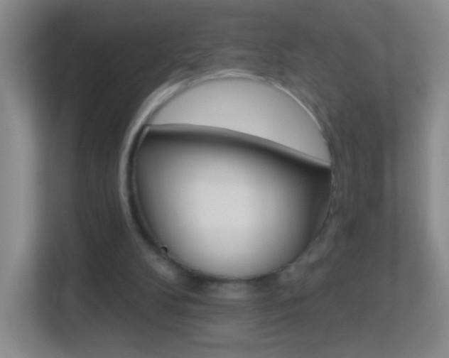 X0000113880104200909241034