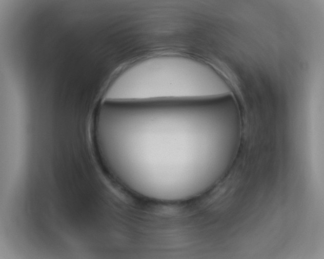 X0000113880107200909241034
