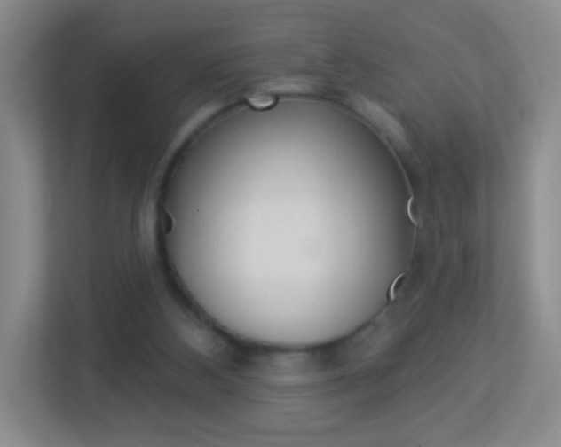 X0000113880108200909241034