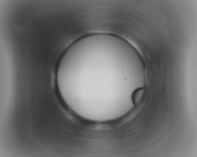 X0000113880109200909241034