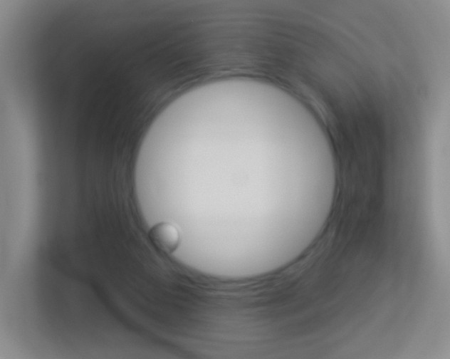 X0000113880113200909241034