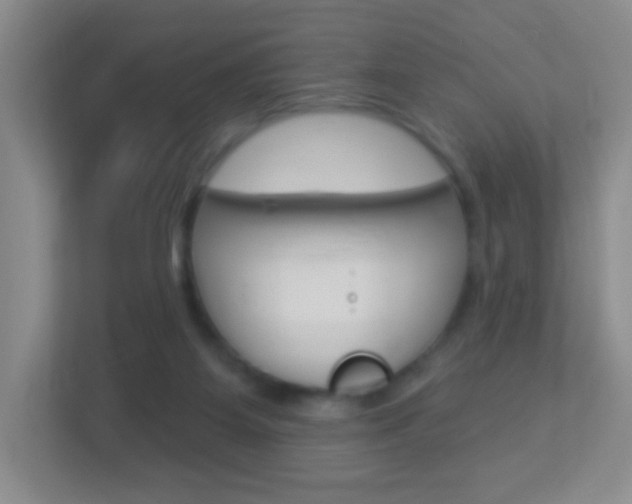 X0000113880115200909241034