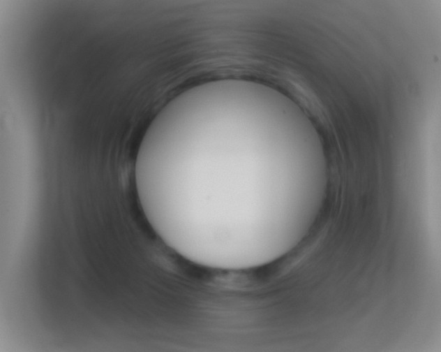 X0000113880125200909241034