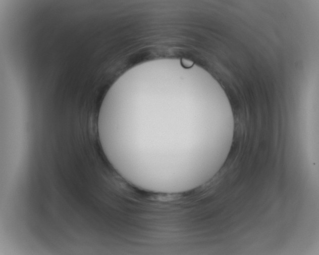 X0000113880134200909241034
