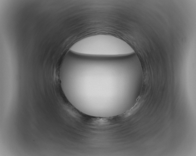 X0000113880140200909241034