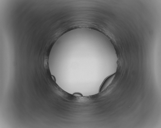 X0000113880141200909241034