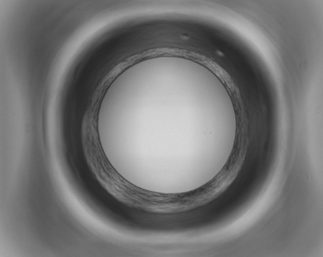 X0000113880142200909241034