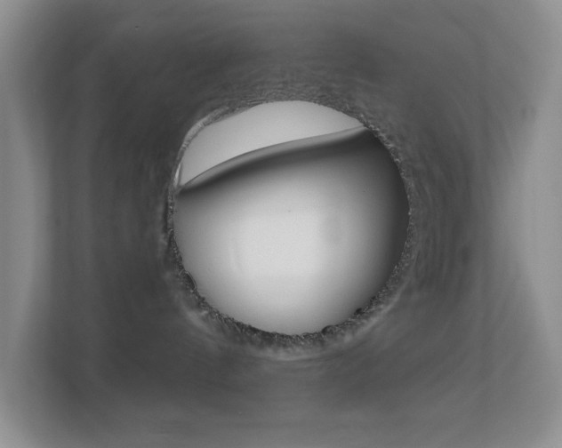 X0000113880144200909241034