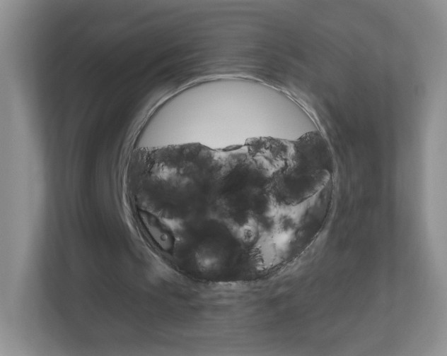 X0000113880145200909241033