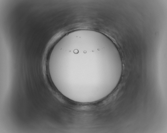 X0000113880149200909241033