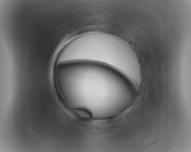X0000113880150200909241033